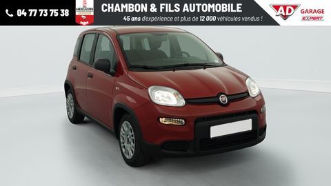 Fiat Panda 1.0 70 CH HYBRID BSG S 2024 occasion La Grand-Croix 42320