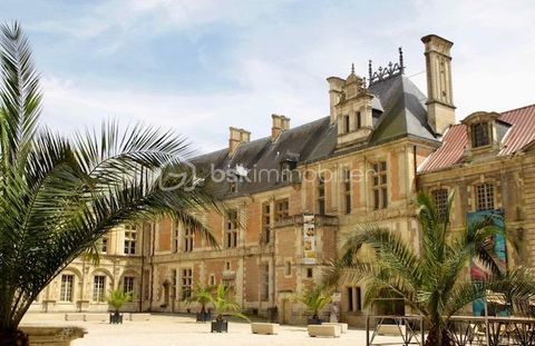 Opportunit&eacute; Commerciale au Coeur de la Ville ! 149000 89100 Sens