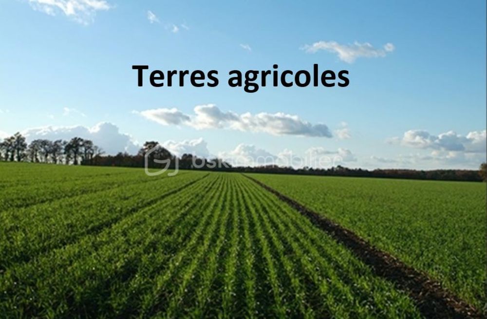 � vendre  Propri�t�/ch�teau Sort-en-Chalosse (40180)