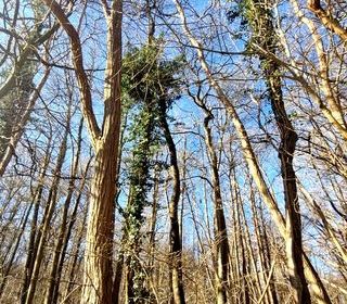  Terrain � vendre 1886 m�