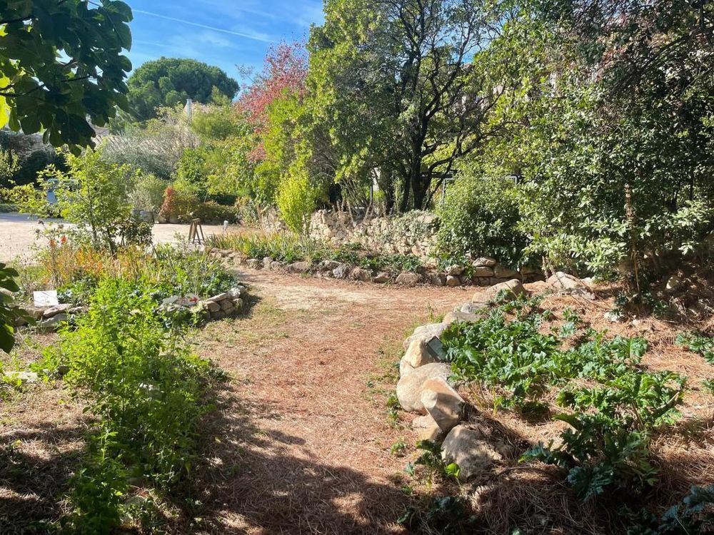 � vendre  Propri�t�/ch�teau Montolieu (11170)