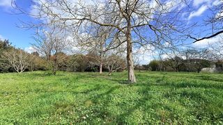  Terrain � vendre 1000 m�