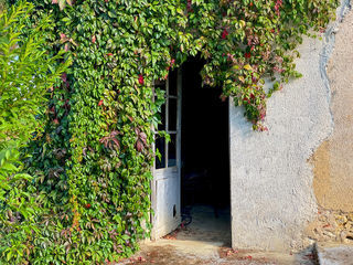  Propri�t�/ch�teau � vendre 9 pi�ces 315 m�