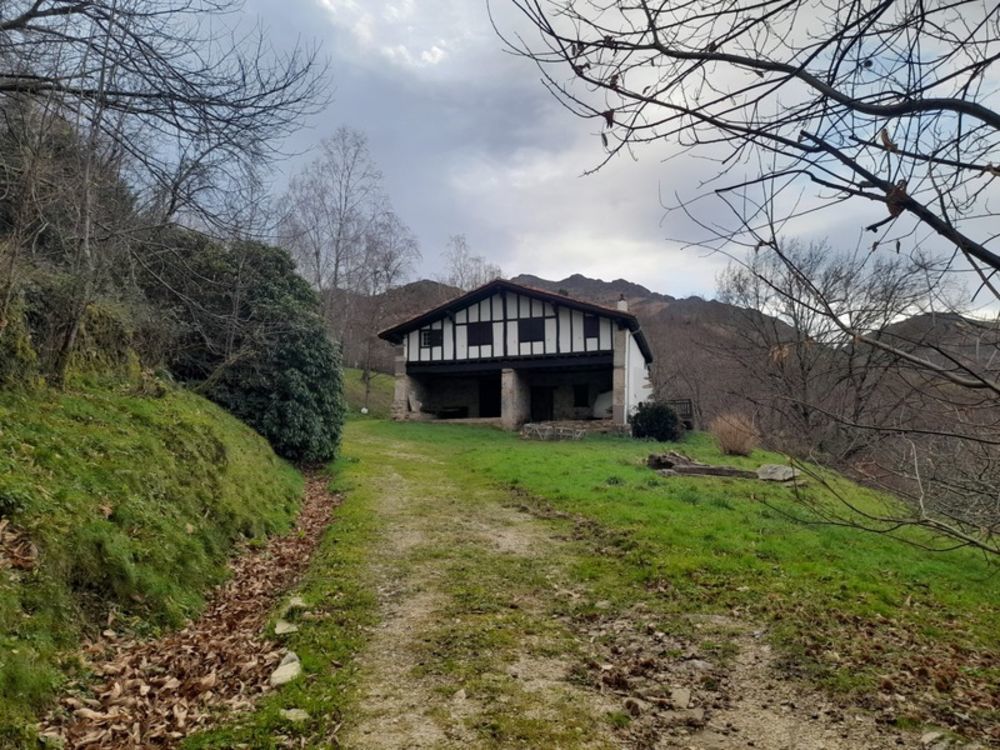 � vendre  Propri�t�/ch�teau Sare (64310)