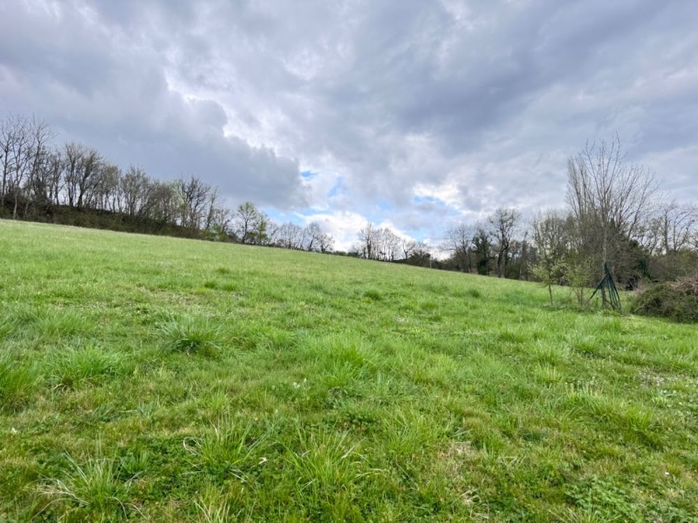 � vendre  Propri�t�/ch�teau Agen (47000)