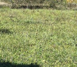  Terrain � vendre 1500 m�