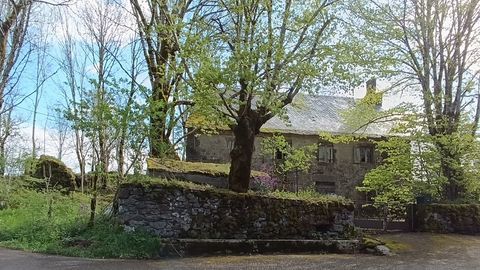   emsemble immobilier Propri�t�/ch�teau - 8 pi�ce(s) - 280 m�