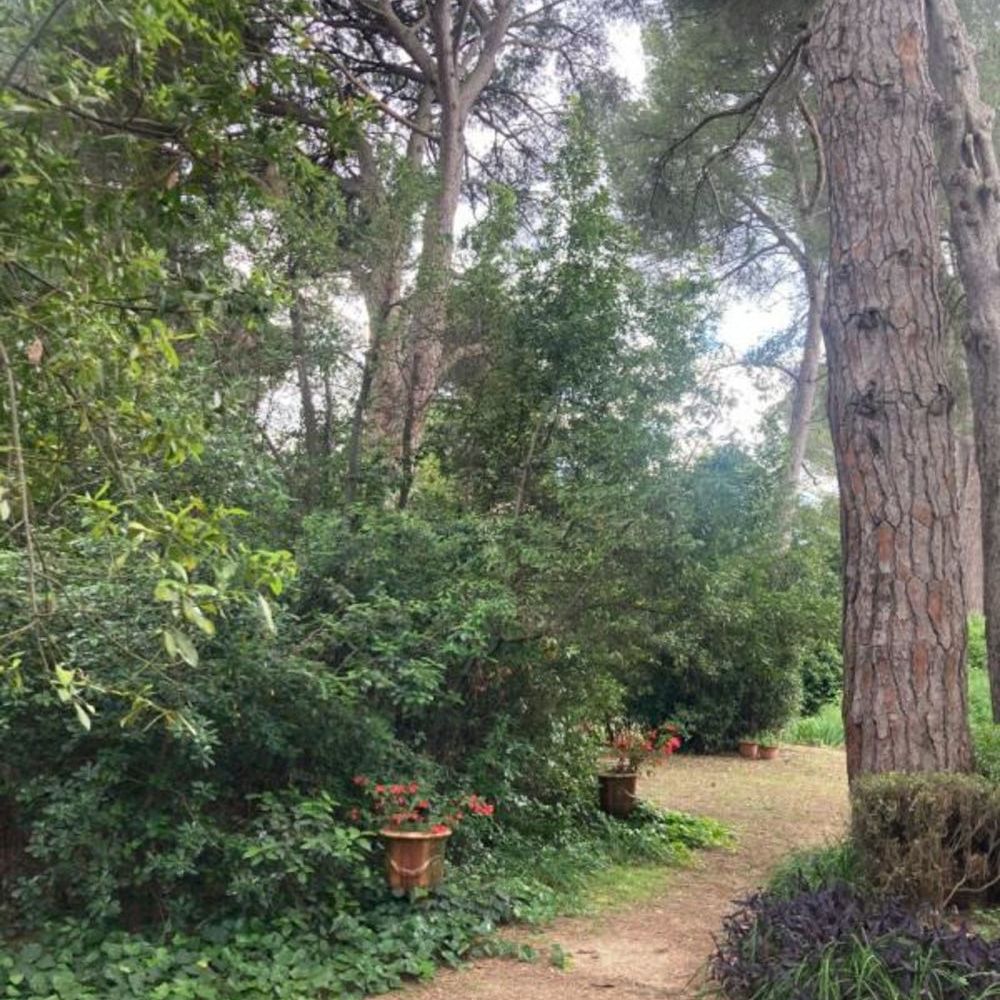 � vendre  Propri�t�/ch�teau Montpellier (34000)