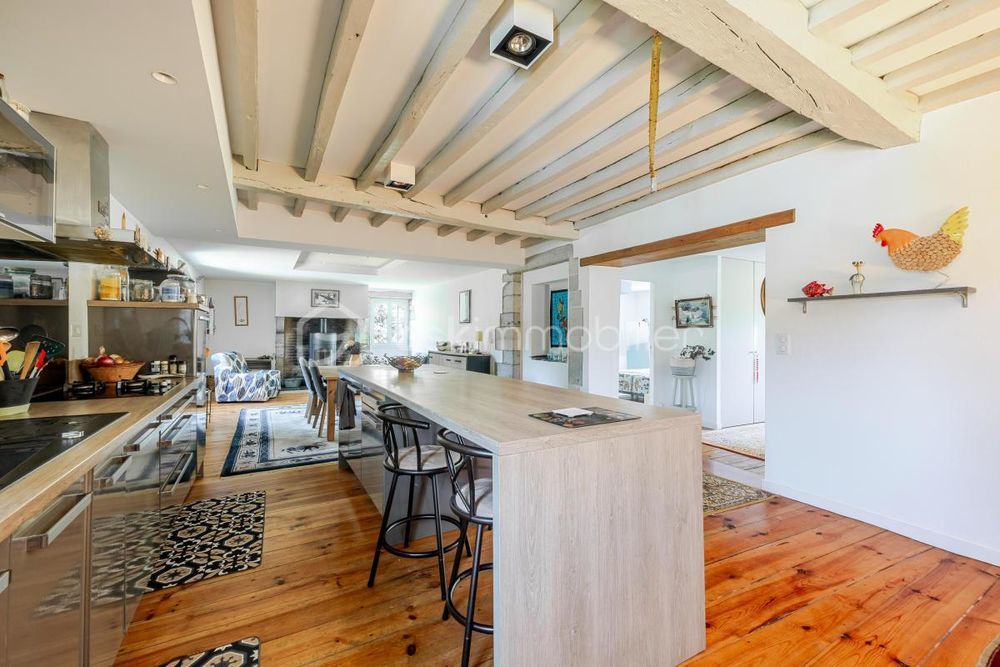 � vendre  Propri�t�/ch�teau Bidache (64520)