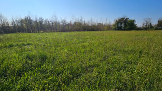  Terrain � vendre 982 m�