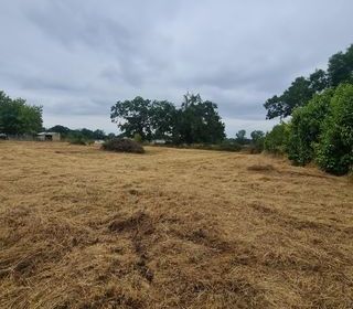  Terrain � vendre 2984 m�