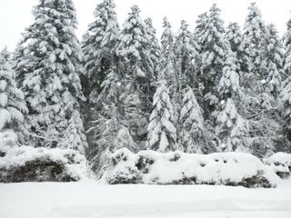  Chalet � vendre 7 pi�ces 160 m�