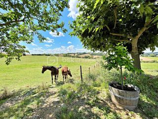  Propri�t�/ch�teau � vendre 7 pi�ces 280 m�