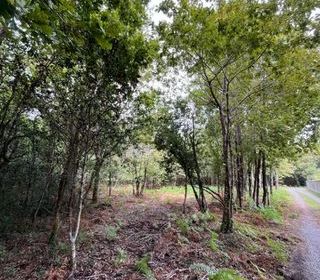  Terrain � vendre 2949 m�