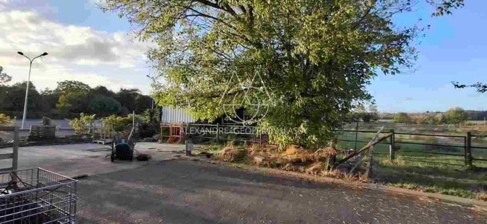 � vendre  Propri�t�/ch�teau Chenonceaux (37150)