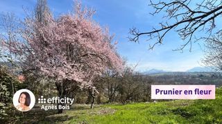  Maison � vendre 7 pi�ces 297 m�