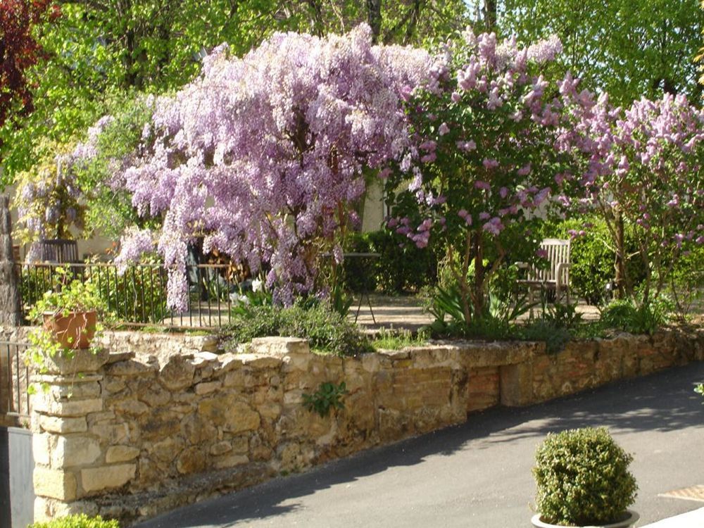 � vendre  Maison La Roche-Posay (86270)