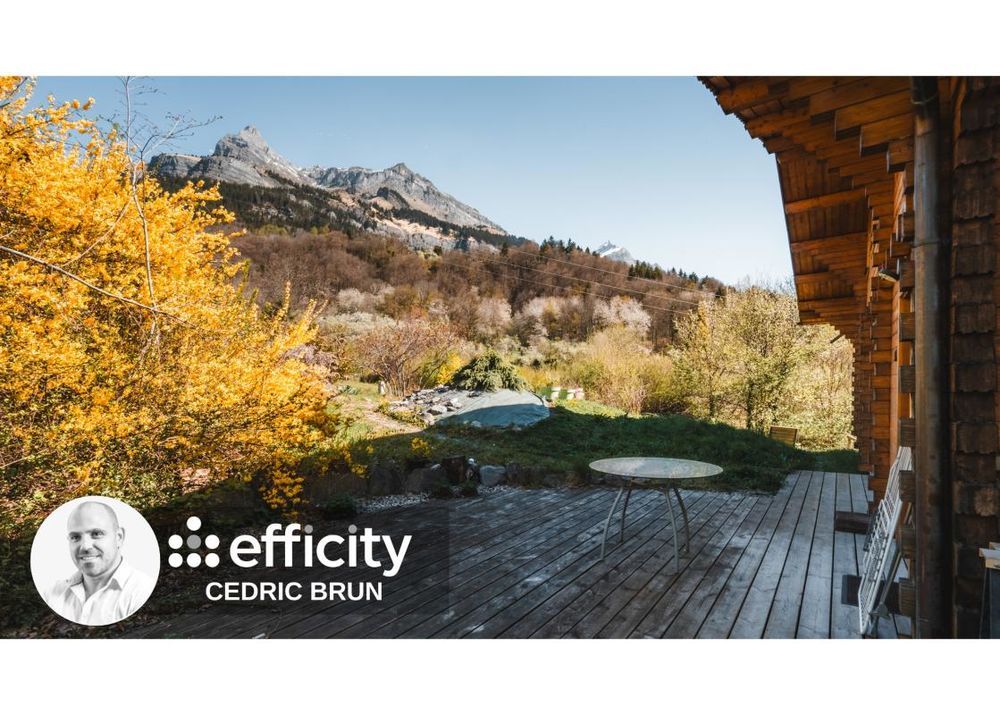 � vendre  Chalet Passy (74190)