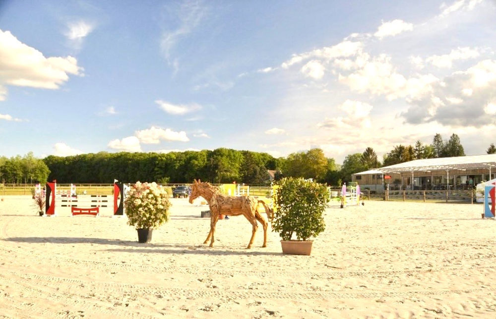 � vendre  Maison Reims (51100)