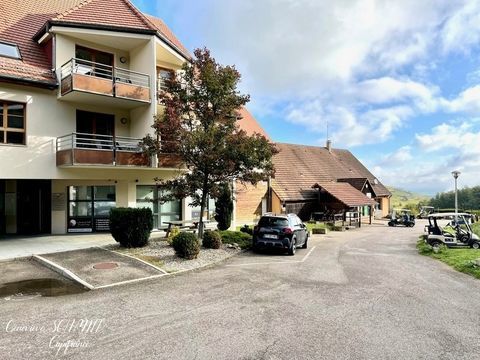   Dpt Haut-Rhin (68), � vendre AMMERSCHWIHR appartement T2 Appartement - 2 pi�ce(s) - 40 m�