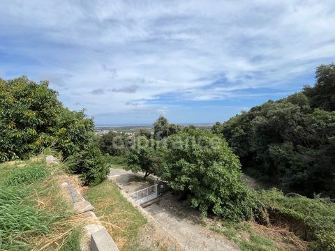   BORGO � Propri�t� � fort potentiel : 393 m� habitables + 2 980 m� de terrain � 395 000 � Maison - 5 pi�ce(s) - 131 m�