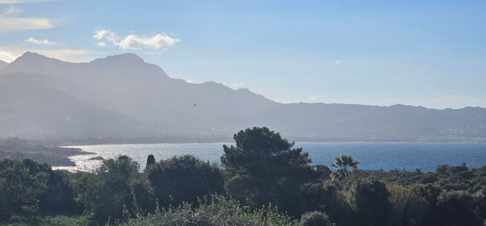 � vendre  Maison Lumio (20260)