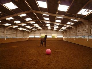  Propri�t�/ch�teau � vendre 15 + pi�ces 500 m�