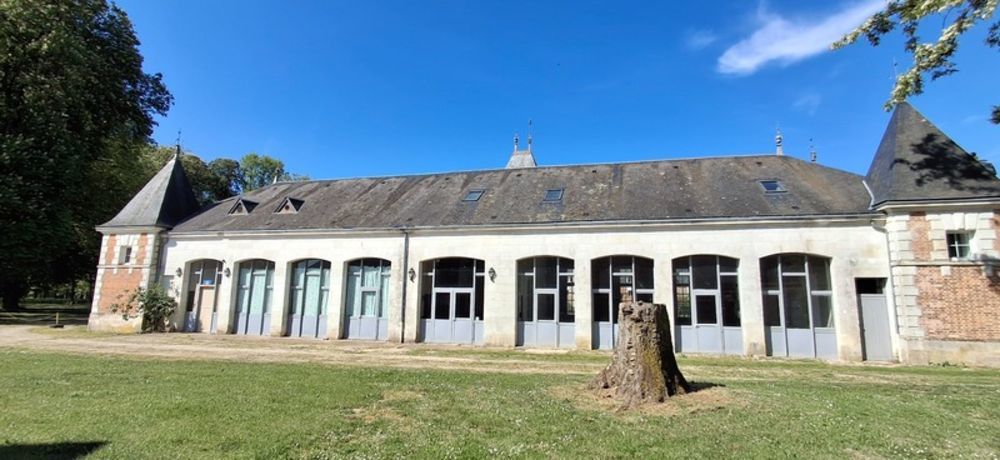 � vendre  Propri�t�/ch�teau Mor�e (41160)