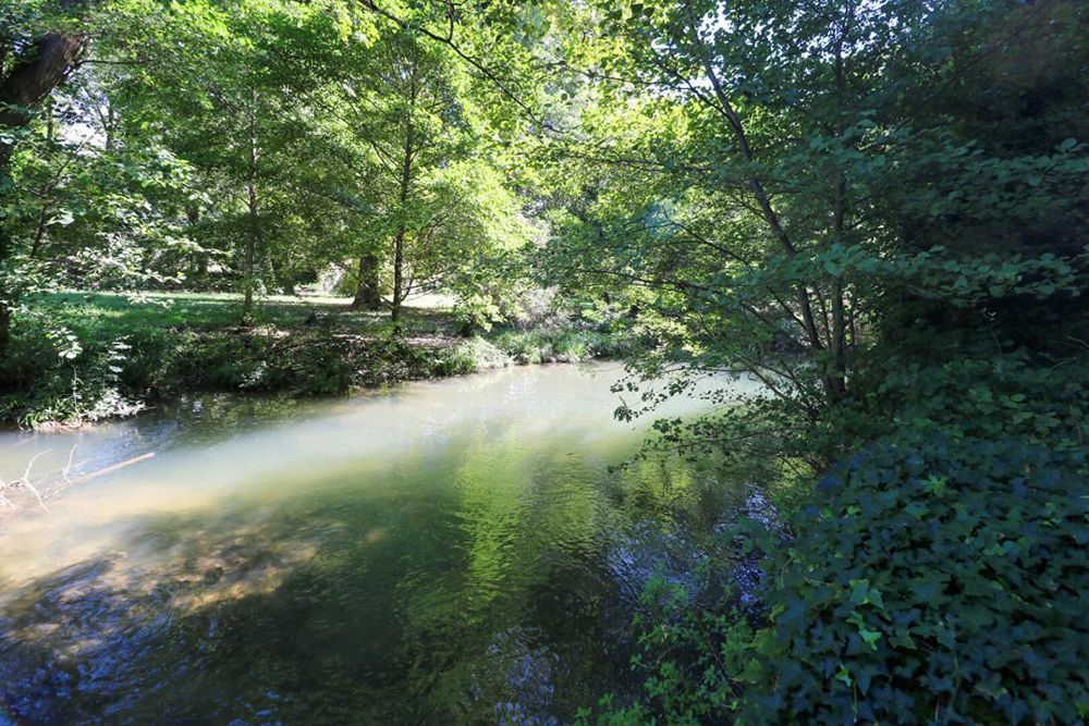 � vendre  Propri�t�/ch�teau Uz�s (30700)