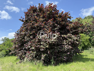  Terrain � vendre 1480 m�