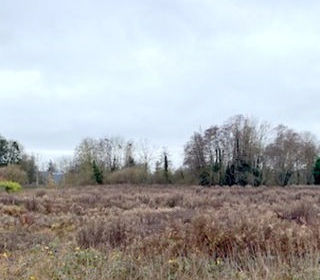  Terrain � vendre 4387 m�