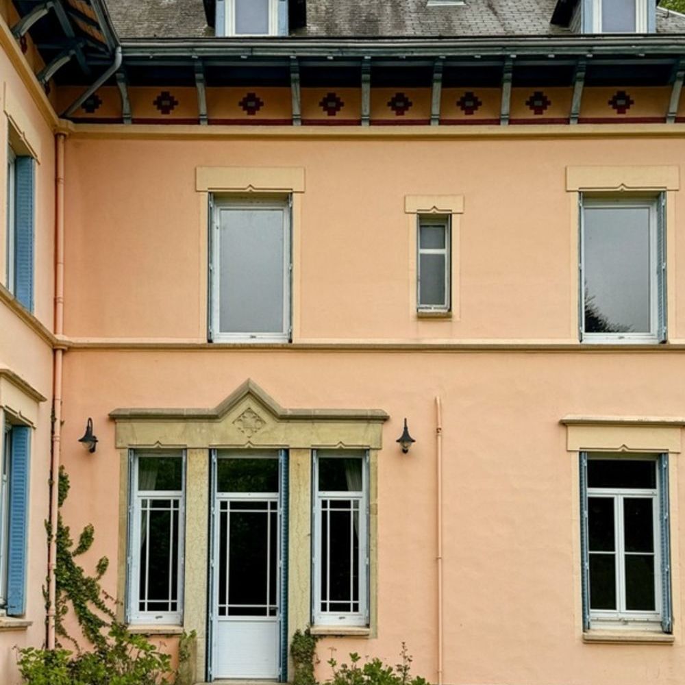 � vendre  Propri�t�/ch�teau Eyzin-Pinet (38780)