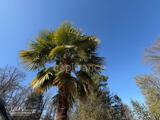  Maison � vendre 10 pi�ces 260 m�