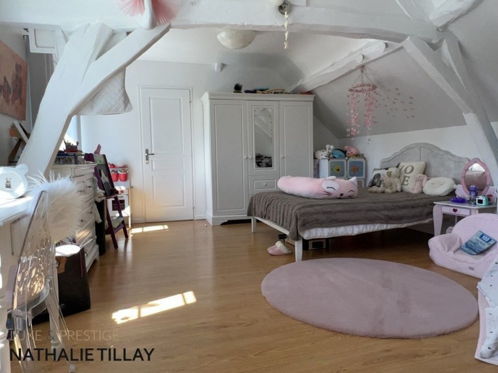 � vendre  Propri�t�/ch�teau Orl�ans (45000)