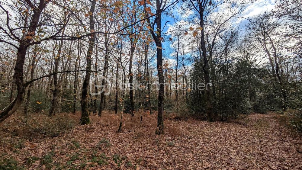 � vendre  Propri�t�/ch�teau Saint-Augustin-des-Bois (49170)