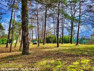  Terrain � vendre 906 m�