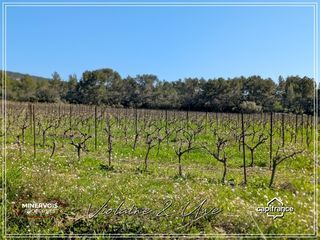  Maison � vendre 15 + pi�ces 446 m�