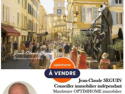 SALON-DE-PROVENCE - Centre historique pi&eacute;ton 44000 13300 Salon de provence