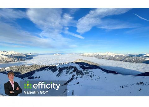 Commerces/Negoce 220000 74300 Araches la frasse