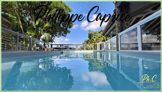  Maison � vendre 8 pi�ces 366 m�