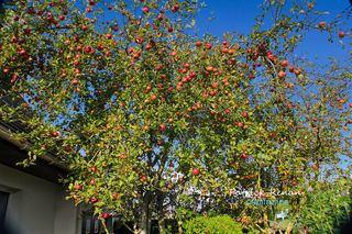  Maison � vendre 7 pi�ces 152 m�