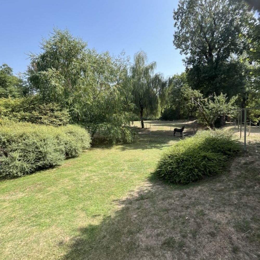 � vendre  Propri�t�/ch�teau Rocheservi�re (85620)