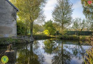  Propri�t�/ch�teau � vendre 8 pi�ces 175 m�