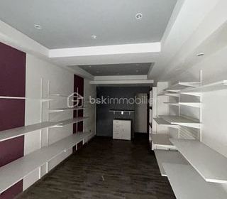  Immeuble � vendre 7 pi�ces 297 m�