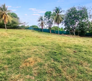  Terrain � vendre 968 m�