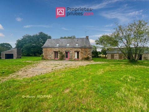   Maison Saint Aubin Des Chateaux 7 pi�ce(s) 140 m2, Terrain de 7936m� Maison - 7 pi�ce(s) - 140 m�