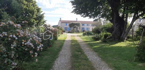   Charentaise compos�e de 2 logements Maison - 7 pi�ce(s) - 235 m�