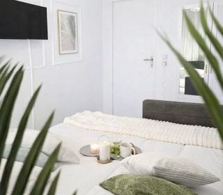  Appartement � louer 2 pi�ces 37 m�