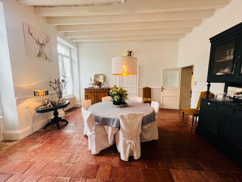 � vendre  Propri�t�/ch�teau Les Ormes (86220)