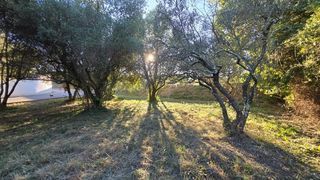  Terrain � vendre 401 m�